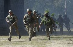 «Rapid Trident»-2014: Військові відпрацювали маневри, які допоможуть вижити в бою