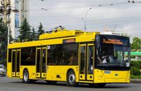 Чернівчани відреагували на скасування найбільш затребуваного тролейбуса №9 