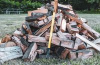 В усіх лісгоспах черги – скільки коштують дрова на Буковині та чи вистачає заготовлених