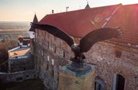 Угорці Закарпаття протестують проти демонтажу орла-турула із замку "Паланок"
