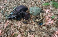 У Карпатах на кордоні з Румунією знайшли скелети двох чоловіків
