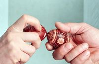 Західна Україна за минулий тиждень: Зеленський на Закарпатті та «міряння писанками»