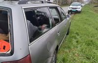 Трагедія на Буковині: після ножових ударів два людолова вижили