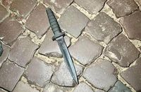 У Львові зарізали вже третього людолова